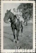 1960, Santa Rosa, Argentyna.
Susana i Daniel Zacharkowie - dzieci polskich emigrantów z Comodoro Rivadavia - w Pampie.
Fot. NN, zbiory Adeli Kozlowski i Eugeniusza Zacharko, reprodukcje cyfrowe w Bibliotece Polskiej im. Ignacego Domeyki w Buenos Aires (Biblioteca Polaca Ignacio Domeyko) i w Ośrodku KARTA w Warszawie.
