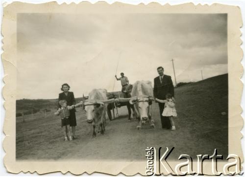 1956 lub 1957, Esquel, prowincja Chubut, Argentyna.
Rodzina Koprowskich. Jan Józef Koprowski z córką Wandą Koprowski (z prawej) i Jadwiga Koprowski z synem Enrique Koprowskim (z lewej).
Fot. NN, zbiory Enrique Koprowskiego, reprodukcje cyfrowe w Bibliotece Polskiej im. Ignacego Domeyki w Buenos Aires (Biblioteca Polaca Ignacio Domeyko) i w Ośrodku KARTA w Warszawie.



