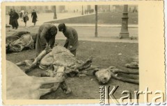 1939, Warszawa, Polska.
Martwe konie.
Fot. NN, zbiory Juana Ludvica Figny, reprodukcje cyfrowe w Bibliotece Polskiej im. Ignacego Domeyki w Buenos Aires (Biblioteca Polaca Ignacio Domeyko) i w Ośrodku KARTA w Warszawie.