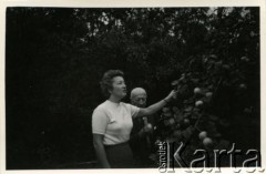 1961, Milanówek, Polska.
Krystyna Mickiewicz z domu Burhardt - matka Moniki Mickiewicz - i Aleksander Burhardt - dziadek Moniki Mickiewicz.
Fot. NN, zbiory Moniki Mickiewicz, reprodukcje cyfrowe w Bibliotece Polskiej im. Ignacego Domeyki w Buenos Aires (Biblioteca Polaca Ignacio Domeyko) i w Ośrodku KARTA w Warszawie.