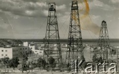 Brak daty, Kilometro 3, Comodoro Rivadavia, prowincja Chubut, Argentyna.
Wieże wiertnicze należące do koncernu Yacimientos Petrolíferos Fiscales (Y.P.F).
Fot. NN, zbiory Moniki Mickiewicz, reprodukcje cyfrowe w Bibliotece Polskiej im. Ignacego Domeyki w Buenos Aires (Biblioteca Polaca Ignacio Domeyko) i w Ośrodku KARTA w Warszawie.