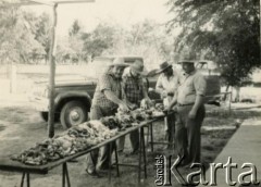Lata 70. (?), Coronel du Graty, prowincja Chaco, Argentyna.
Przygotowywanie mięsa na asado (grilla), które co roku było organizowane przez Polaków w kościele katolickim. Na zdjęciu m.in. Władysław Herbut (1. z prawej).
Fot. NN, zbiory Władysława Herbuta, reprodukcje cyfrowe w Bibliotece Polskiej im. Ignacego Domeyki w Buenos Aires (Biblioteca Polaca Ignacio Domeyko) i w Ośrodku KARTA w Warszawie.