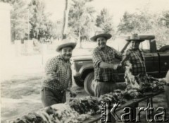 Lata 70. (?), Coronel du Graty, prowincja Chaco, Argentyna.
Przygotowywanie mięsa na asado (grilla), które co roku było organizowane przez Polaków w kościele katolickim. Na zdjęciu m.in. Władysław Herbut (1. z prawej).
Fot. NN, zbiory Władysława Herbuta, reprodukcje cyfrowe w Bibliotece Polskiej im. Ignacego Domeyki w Buenos Aires (Biblioteca Polaca Ignacio Domeyko) i w Ośrodku KARTA w Warszawie.