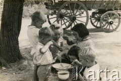 Lata 60., okolice Coronel du Graty, prowincja Chaco, Argentyna.
Dzieci w czasie posiłku, m.in. Krystyna Kramarz, Regina, Marysia, Józio, Alfredo, Rysia.
Fot. NN, zbiory Marii Kramarz, reprodukcje cyfrowe w Bibliotece Polskiej im. Ignacego Domeyki w Buenos Aires (Biblioteca Polaca Ignacio Domeyko) i w Ośrodku KARTA w Warszawie.