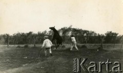 Lata 60., Coronel du Graty, prowincja Chaco, Argentyna.
Znaczenie konia.
Fot. NN, zbiory Wiktorii Błaszczak, reprodukcje cyfrowe w Bibliotece Polskiej im. Ignacego Domeyki w Buenos Aires (Biblioteca Polaca Ignacio Domeyko) i w Ośrodku KARTA w Warszawie.