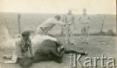 Lata 60., Coronel du Graty, prowincja Chaco, Argentyna.
Znaczenie konia.
Fot. NN, zbiory Wiktorii Błaszczak, reprodukcje cyfrowe w Bibliotece Polskiej im. Ignacego Domeyki w Buenos Aires (Biblioteca Polaca Ignacio Domeyko) i w Ośrodku KARTA w Warszawie.
