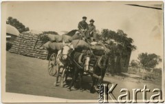 Lata 40., okolice Pampa del Infierno, prowincja Chaco, Argentyna.
Bracia Stanisław i Michał Boczarowie. Za nimi worki z bawełną. 
Fot. NN, zbiory Marii Oszust i Wieńczysława Boczarów, reprodukcje cyfrowe w Bibliotece Polskiej im. Ignacego Domeyki w Buenos Aires (Biblioteca Polaca Ignacio Domeyko) i w Ośrodku KARTA w Warszawie.
