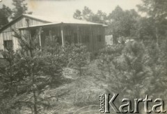 Lata 60., El Alcazar, prowincja Misiones, Argentyna.
Dom Stefana Szymuli, w którym mieszkał z żoną Silvią i synami - Claudio i Benicio. Przed wojną pracował w Powiatowym Zarządzie Drogowym w Buczaczu, po 1939 ukrywał się. Aresztowany po nieudanej ucieczce do Rumunii, osadzony w więzieniu w Czortkowie, później w Starobielsku. Skazany na 5 lat obozu, zesłany w styczniu 1941 roku na Syberię. Dostał się do Armii Andersa, z którą został ewakuowany do Iranu. Przeszedł z nią cały szlak bliskowschodni. W Palestynie ukończył Szkołę Podchorążych Piechoty Rezerwy i został mianowany porucznikiem. Walczył pod Monte Cassino, w dniu zakończenia wojny ożenił się z Włoszką Silvią Valli. W 1948 roku emigrował do Argentyny.
Fot. NN, zbiory Silvii Szymuli, reprodukcje cyfrowe w  Bibliotece Polskiej im. Ignacego Domeyki w Buenos Aires (Biblioteca Polaca Ignacio Domeyko) i w Ośrodku KARTA w Warszawie