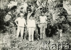 1970, San Pedro, prowincja Misiones, Argentyna.
Uczniowie ze szkoły prowadzonej przez ojców redemtorystów z Polski.
Fot. NN, ze zbiorów Archivo Historico-Central 