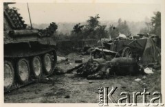 Sierpień 1944, Francja.
Zniszczenia po walkach, z prawej zabite konie.
Fot. NN, zbiory Krzysztofa Barbarskiego, reprodukcje cyfrowe w Ośrodku KARTA w Warszawie i w Instytucie Polskim i Muzeum im. gen. Sikorskiego w Londynie.