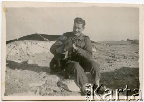 1942, Mosul, Królestwo Iraku.
Żołnierz 3 Dywizji Strzelców Karpackich Ryszard Kaczorowski z psem.
Fot. NN, zbiory Karoliny i Ryszarda Kaczorowskich, reprodukcje cyfrowe w Ośrodku KARTA w Warszawie i w Instytucie Polskim i Muzeum im. gen. Sikorskiego w Londynie
