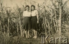 1945-1948, Valivade-Kolhapur, Indie.
Aniela Wawrzyńczyk (po mężu Zychowicz) z koleżanką Danutą Postek. 
Fot. NN, zbiory Anieli Zychowicz, reprodukcje cyfrowe w Ośrodku KARTA w Warszawie i w Instytucie Polskim i Muzeum im. gen. Sikorskiego w Londynie.