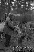 Lata 70., Jakucka Autonomiczna Socjalistyczna Republika Radziecka, RFSRR, ZSRR.
Osada Ewenków. Mężczyzna dogląda swoich reniferów.
Fot. Mikołaj Nesterowicz, zbiory Ośrodka KARTA