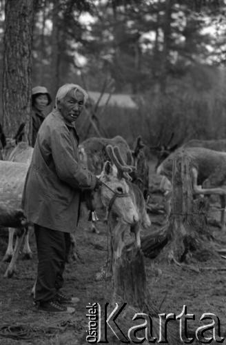 Lata 70., Jakucka Autonomiczna Socjalistyczna Republika Radziecka, RFSRR, ZSRR.
Osada Ewenków. Mężczyzna dogląda swoich reniferów.
Fot. Mikołaj Nesterowicz, zbiory Ośrodka KARTA
