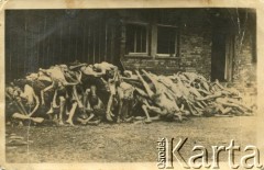 1945, Dachau, Rzesza Niemiecka.
Zwłoki więźniów obozu koncentracyjnego.
Fot. NN, kolekcja Józefa Iwaniszyna, reprodukcje cyfrowe w Ośrodku KARTA