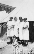 1942, Teheran, Iran.
Personel wojskowego szpitala, w którym pracowała Irena Osadzińska.
Fot. NN, kolekcja Ireny Osadzińskiej, reprodukcje cyfrowe w Ośrodku KARTA