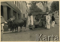 Kwiecień-maj 1936, prawdopodobnie Casablanca, Maroko.
Kobiety zwiedzają miasto w powozie ciągniętym przez woły. 1. z prawej siedzi Teresa Świdrygiełło-Świderska (matka Teresy Somkowicz). Zdjęcie wykonano podczas pierwszego rejsu wycieczkowego transatlantyka MS 