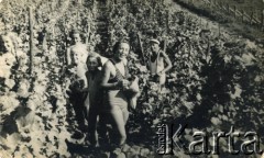 Lata 30., Chmielowa k. Beremian, woj. tarnopolskie, Polska.
Rodzina Świdrygiełło-Świderskich w winnicy. Z prawej stoi ojciec Władysław, z lewej starsza siostra Maria 