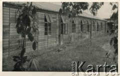 Lata 50., Penrhos, Walia, Wielka Brytania.
Drewniane baraki mieszkalne w Polskim Osiedlu dla byłych żołnierzy i ich rodzin. Osiedle powstało na terenie bazy lotniska RAF Penrhos, która po wojnie służyła jako obóz Polskiego Korpusu Przysposobienia i Rozmieszczenia.
Fot. NN, kolekcja: Polskie Osiedle w Penrhos, reprodukcje cyfrowe w Ośrodku KARTA