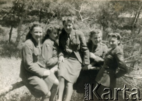 1946, Nazaret, Palestyna.
Uczennice Młodszej Junackiej Szkoły Powszechnej, koleżanki Aliny Inez Rutkowskiej (później po mężu Złotogórskiej).
Fot. NN, kolekcja Aliny Inez Złotogórskiej, reprodukcje cyfrowe w Ośrodku KARTA