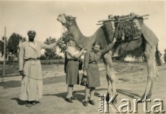 1944, Egipt.
Kapral Pomocniczej Służby Kobiet przy Armii Polskiej na Wschodzie Maria Andrzejewska (później po mężu Żywina, z prawej) z koleżanką przy wielbłądzie. 
Fot. NN, kolekcja Marii i Józefa Żywiny, reprodukcje cyfrowe w Ośrodku KARTA
