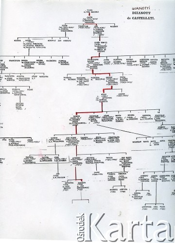 Maj 2000, Warszawa, Polska.
Drzewo genealogiczne rodziny Barbary Murzynowskiej z domu Dzianott, które wykonała krewna, Wanda Augustin. 
Fot. NN, kolekcja Barbary Murzynowskiej, reprodukcje cyfrowe w Ośrodku KARTA