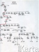 Maj 2000, Warszawa, Polska.
Drzewo genealogiczne rodziny Barbary Murzynowskiej z domu Dzianott, które wykonała krewna, Wanda Augustin. 
Fot. NN, kolekcja Barbary Murzynowskiej, reprodukcje cyfrowe w Ośrodku KARTA