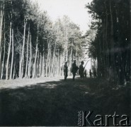 Lata 30., Kalinowa, woj. łódzkie, Polska.
Polowanie zorganizowane w majątku rodziny Murzynowskich.
Fot. NN, kolekcja Barbary Murzynowskiej, reprodukcje cyfrowe w Ośrodku KARTA