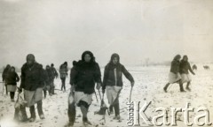 Lata 30., Kalinowa, woj. łódzkie, Polska.
Polowanie w majątku rodziny Murzynowskich. Kobiety ciągną za sobą upolowane zwierzęta.
Fot. NN, kolekcja Barbary Murzynowskiej, reprodukcje cyfrowe w Ośrodku KARTA