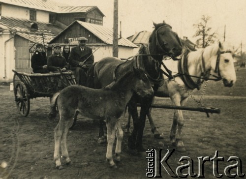 Ok. 1935, Armatniów, woj. wołyńskie, Polska. 
Rodzina Szponarów na wozie przed wyjazdem do kościoła. W pierwszym rzędzie od lewej siedzi brat Ludwik, ojciec Stanisław. Z tyłu siostra Zofia i matka Anna. 
Fot. NN, kolekcja Teresy i Andrzeja Zapaśników, reprodukcje cyfrowe w Ośrodku KARTA