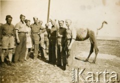 1940-1945, brak miejsca.
Grupa żołnierzy Polskich Sił Zbrojnych na Zachodzie.
Fot. NN, kolekcja: Polska Misja Katolicka, reprodukcje cyfrowe w Ośrodku KARTA