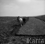 Lata 60., Lubelszczyzna, Polska.
Orka.
Fot. Marek Zürn, zbiory Fundacji Ośrodka KARTA