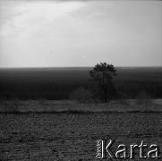 Lata 60., Lubelszczyzna, Polska.
Zaorane pole.
Fot. Marek Zürn, zbiory Fundacji Ośrodka KARTA
