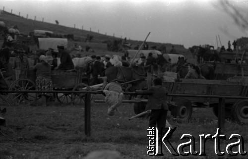 Lata 60., miejsce nieznane.
Jarmark cygański.
Fot. Marek Zürn, zbiory Fundacji Ośrodka KARTA