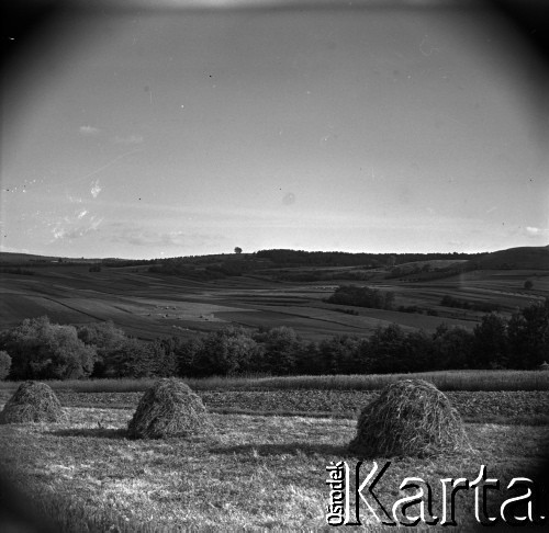Lata 60., miejsce nieznane, Polska.
Snopki siana.
Fot. Marek Zürn, zbiory Fundacji Ośrodka KARTA
