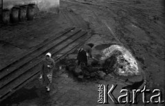 Lata 60., Lublin, Polska.
Scenka uliczna: kobieta nabiera węgla do wiadra.
Fot. Marek Zürn, zbiory Fundacji Ośrodka KARTA