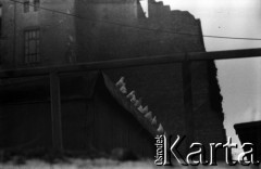 Lata 60., Warszawa, Polska.
Gołębie na dachu.
Fot. Marek Zürn, zbiory Fundacji Ośrodka KARTA