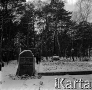 Lata 60., Puszcza Kampinoska, Polska.
Mogiła powstańców styczniowych.
Fot. Marek Zürn, zbiory Fundacji Ośrodka KARTA