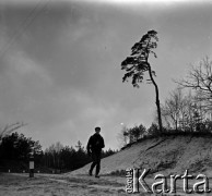 Lata 60., Puszcza Kampinoska, Polska.
Puszcza Kampinoska.
Fot. Marek Zürn, zbiory Fundacji Ośrodka KARTA