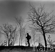 Lata 60., Puszcza Kampinoska, Polska.
Puszcza Kampinoska.
Fot. Marek Zürn, zbiory Fundacji Ośrodka KARTA