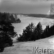 Lata 60., Puszcza Kampinoska, Polska.
Puszcza Kampinoska zimą.
Fot. Marek Zürn, zbiory Fundacji Ośrodka KARTA