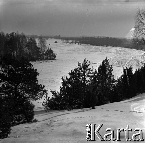 Lata 60., Puszcza Kampinoska, Polska.
Puszcza Kampinoska zimą.
Fot. Marek Zürn, zbiory Fundacji Ośrodka KARTA