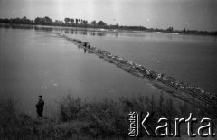 Lata 60., Warszawa (okolice), Polska.
Grobla na Wiśle pomiędzy Siekierkami a Górą Kalwarią.
Fot. Marek Zürn, zbiory Fundacji Ośrodka KARTA