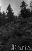 Lata 60., Góry Świętokrzyskie, Polska.
Wycieczka po Górach Świętokrzyskich, szlak przez gołoborze.
Fot. Marek Zürn, zbiory Fundacji Ośrodka KARTA