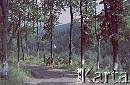 1958, Ławica k. Kłodzka, Polska.
Obóz harcerski drużyny 121 z Żoliborza, n/z harcerze podczas marszu.
Fot. Marek Zürn, zbiory Fundacji Ośrodka KARTA