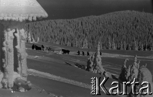 Lata 60., Gorce, Polska.
Transport saniami zaopatrzenia do schroniska na Turbaczu.
Fot. Marek Zürn, zbiory Fundacji Ośrodka KARTA