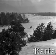 Lata 60., Puszcza Kampinoska, Polska.
Zimowy krajobraz.
Fot. Marek Zürn, zbiory Fundacji Ośrodka KARTA
