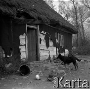 Lata 60., Mazowsze, Polska.
Stara chałupa.
Fot. Marek Zürn, zbiory Fundacji Ośrodka KARTA