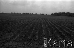 Lata 60., miejsce nieznane, Polska.
Zaorane pole.
Fot. Marek Zürn, zbiory Fundacji Ośrodka KARTA