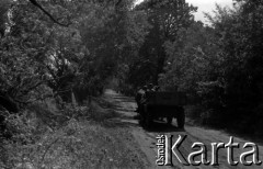 Lata 60., miejsce nieznane, Polska.
Wóz na wiejskiej drodze.
Fot. Marek Zürn, zbiory Fundacji Ośrodka KARTA